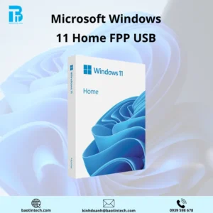 MICROSOFT WINDOWS HOME FPP 11 64-BIT ENG INTL USB_HAJ-00090