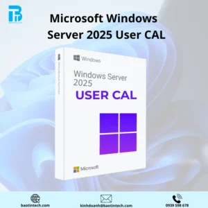 MICROSOFT WINDOWS SERVER 2025 - 1 USER CAL